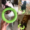 Hundes pielzeug Training Ring Puller Welpe fliegende Scheibe Kau spielzeug im Freien interaktives Spielzeug Hundes piel Spiel zubehör zabawki dla psa - Image 4