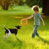 Hundes pielzeug Training Ring Puller Welpe fliegende Scheibe Kau spielzeug im Freien interaktives Spielzeug Hundes piel Spiel zubehör zabawki dla psa - Image 6
