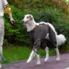 Verstellbare Hunde Regenmantel, Hunde kleidung, große Hunde, Wasserdicht, Voll Abdeckung, Cape, Overalls, Regen, Winter - Image 3