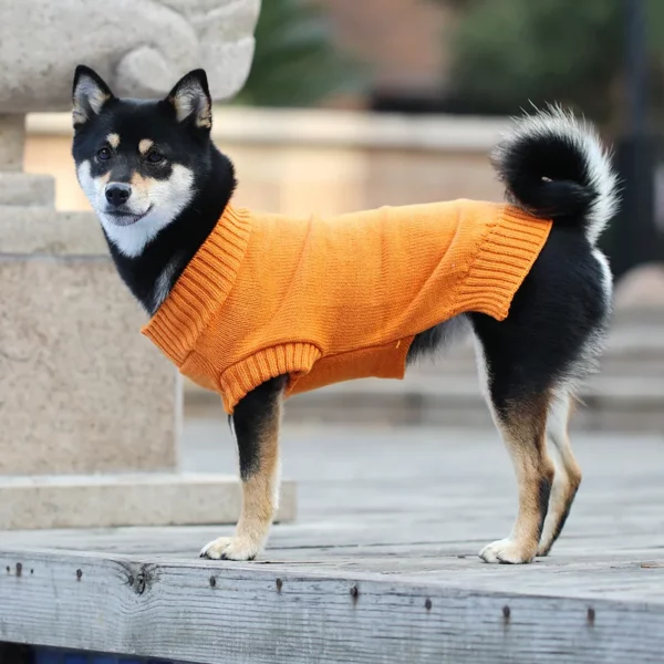 Warme Pullover weste für kleine Hunde, Welpe, Katze, Chihuahua, Yorkie Mantel, Winterkleid ung, Weihnachts kleidung