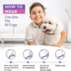 3/4 pc Hunde beruhigende Pheromon halsbänder Haustiere lindern Angst verstellbares bequemes Halsband für Welpen kätzchen großes Hunde zubehör - Image 3
