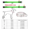 LED Glowing Hund Kragen Einstellbare Blinkende Rechargea Leucht Kragen Nacht Anti-Verloren Hund Licht HarnessFor Kleine Hund Pet Produkte - Image 5