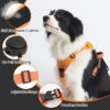 Pet Cat Carrier Bag Carrier For Dogs Backpack Out Double Shoulder Portable Travel Backpack Outdoor Dog Carrier Bag Travel Set - Image 2