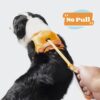Pet Cat Carrier Bag Carrier For Dogs Backpack Out Double Shoulder Portable Travel Backpack Outdoor Dog Carrier Bag Travel Set - Image 4