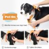 Pet Cat Carrier Bag Carrier For Dogs Backpack Out Double Shoulder Portable Travel Backpack Outdoor Dog Carrier Bag Travel Set - Image 6