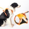 Pet Cat Carrier Bag Carrier For Dogs Backpack Out Double Shoulder Portable Travel Backpack Outdoor Dog Carrier Bag Travel Set - Image 5