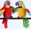 Electric Talking Parrot Plush Toy Cute Speaking Record Repeats - Image 3